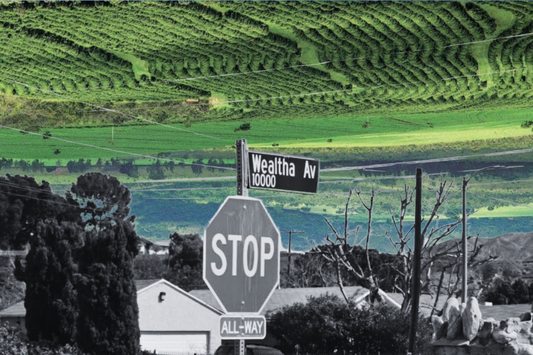 Wealtha Avenue Part 2